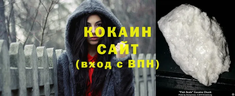 COCAIN Fish Scale  где купить   Алапаевск 